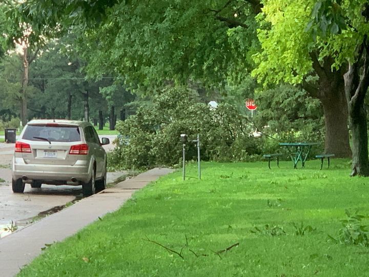 Tree down